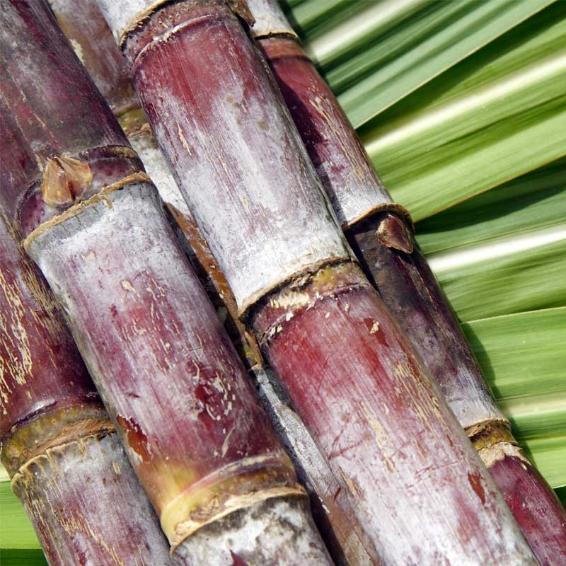 Scanoleum - Oil Rig Projects Drilling, Rig Project Management & Oil Products Marketing Company